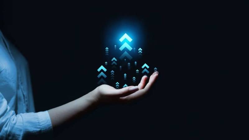 鲤城区微信小程序开发公司：深耕微信生态的专业赋能者